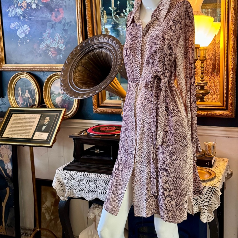 Gold Hawk Snake Print Shirt Dress